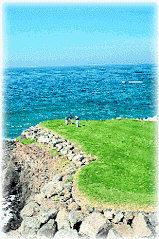 Golfing in Ensenada.