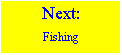 nxtfishingbtn
